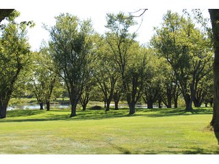 Property photo 22 - Tillable, Pasture, Recreational, Hunting and Fishing Property  